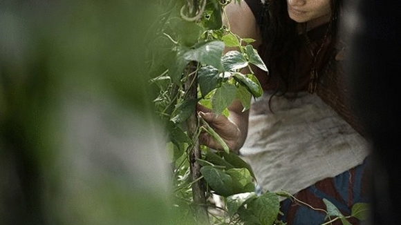 Photo from the movie Le Torrent