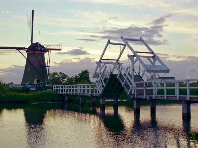 Photo from the movie Van Gogh: Of Wheat Fields and Clouded Skies