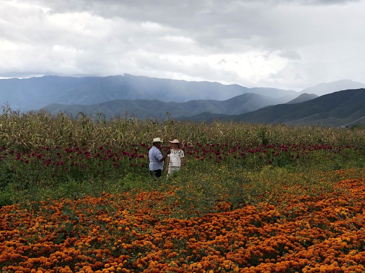 Photo from the movie Chiliheads, fous de piments forts [2021]