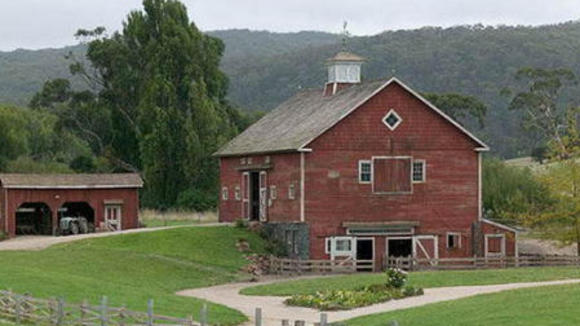 Photo from the movie Charlotte's Web