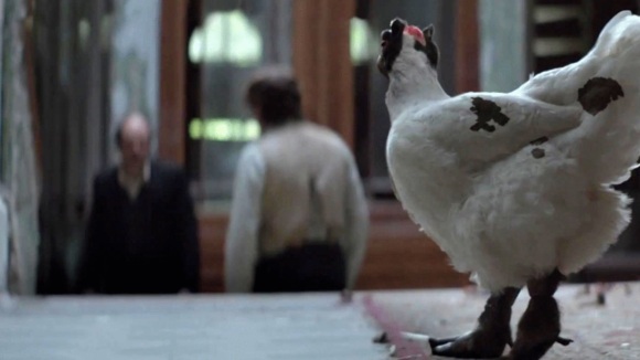 Photo du film Mænd & høns