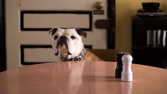 Photo du film Paterson