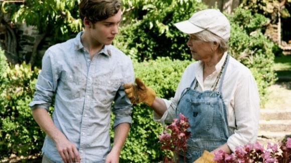 Photo du film Someday This Pain Will Be Useful to You