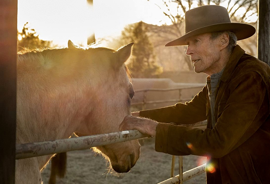 Photo du film Cry Macho: Le chemin de la rédemption