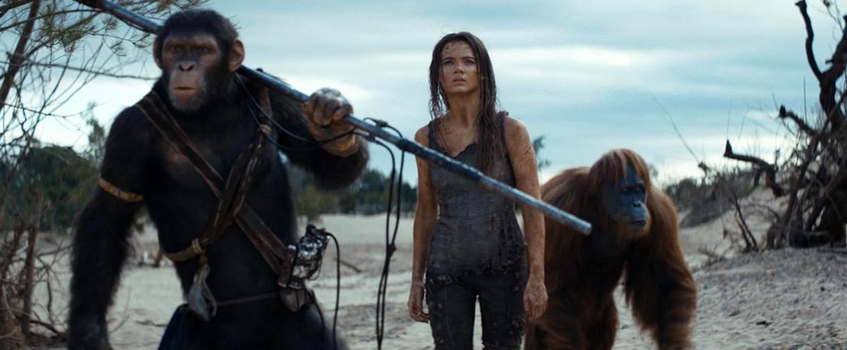 Photo du film Le Royaume de la Planète des Singes