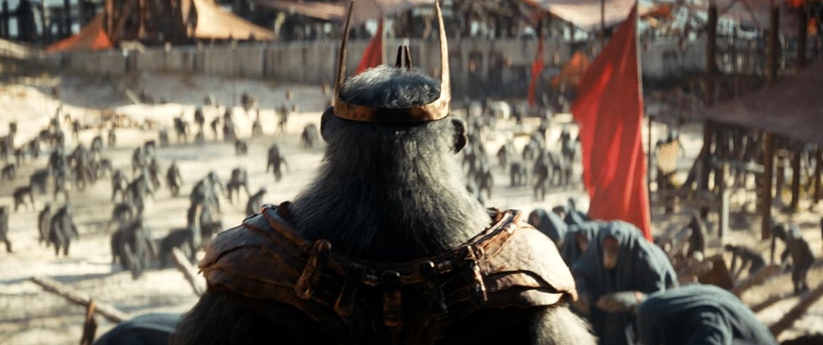 Photo du film Le Royaume de la Planète des Singes