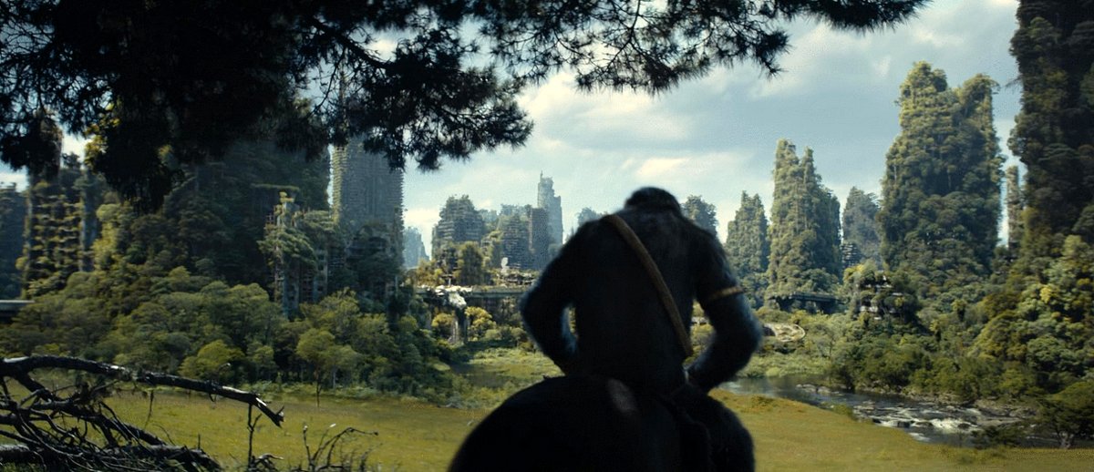 Photo du film Le Royaume de la Planète des Singes