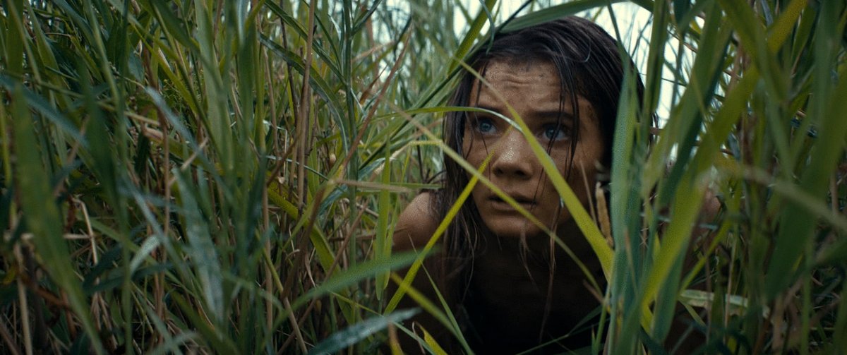 Photo du film Le Royaume de la Planète des Singes