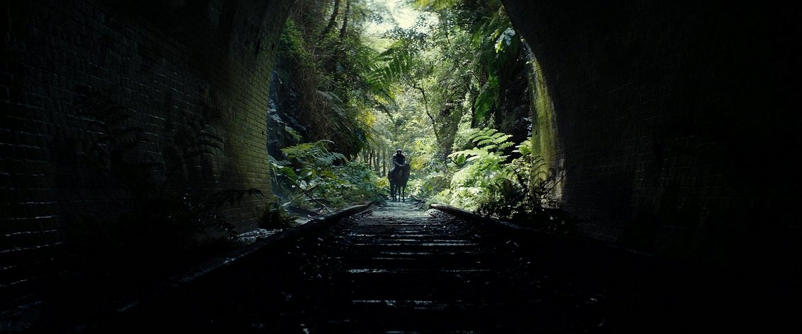 Photo du film Le Royaume de la Planète des Singes