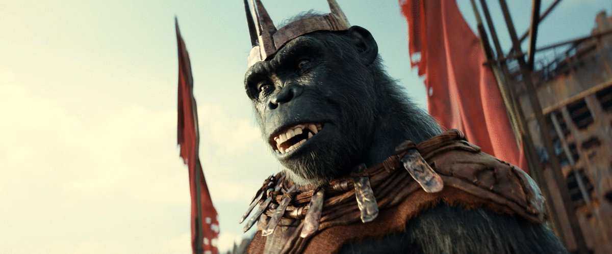 Photo du film Le Royaume de la Planète des Singes