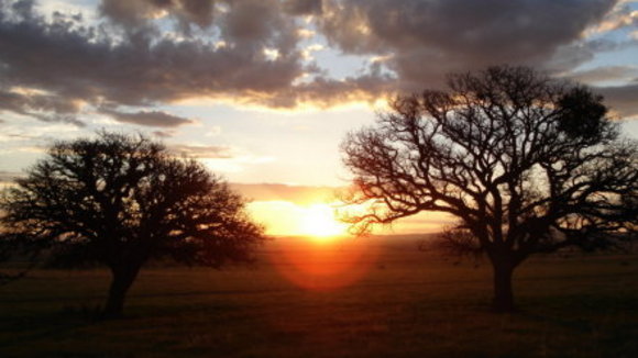 Photo from the movie Silent Light [2007]
