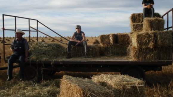Photo from the movie Silent Light [2007]