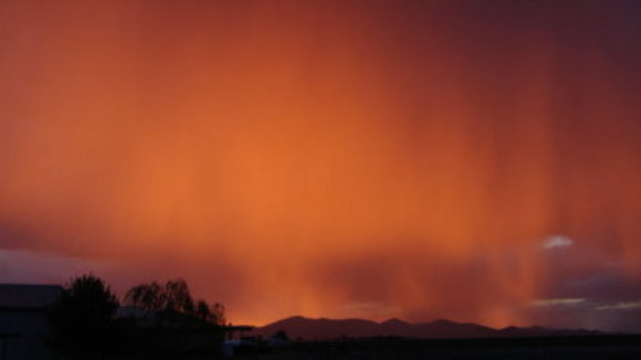 Photo from the movie Silent Light [2007]