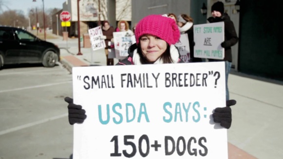 Photo from the movie Dog By Dog [2016]