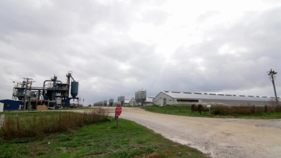 Photo from the movie Dog By Dog [2016]