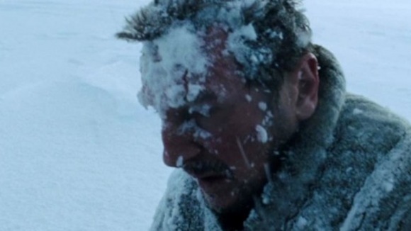 Photo from the movie The Grey