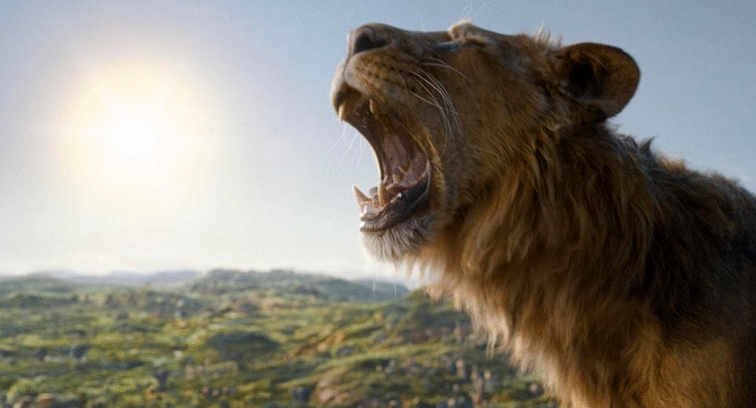 Photo du film Mufasa: Le Roi Lion