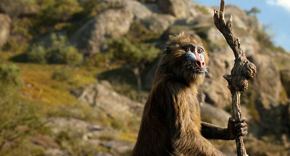 Photo du film Mufasa: Le Roi Lion