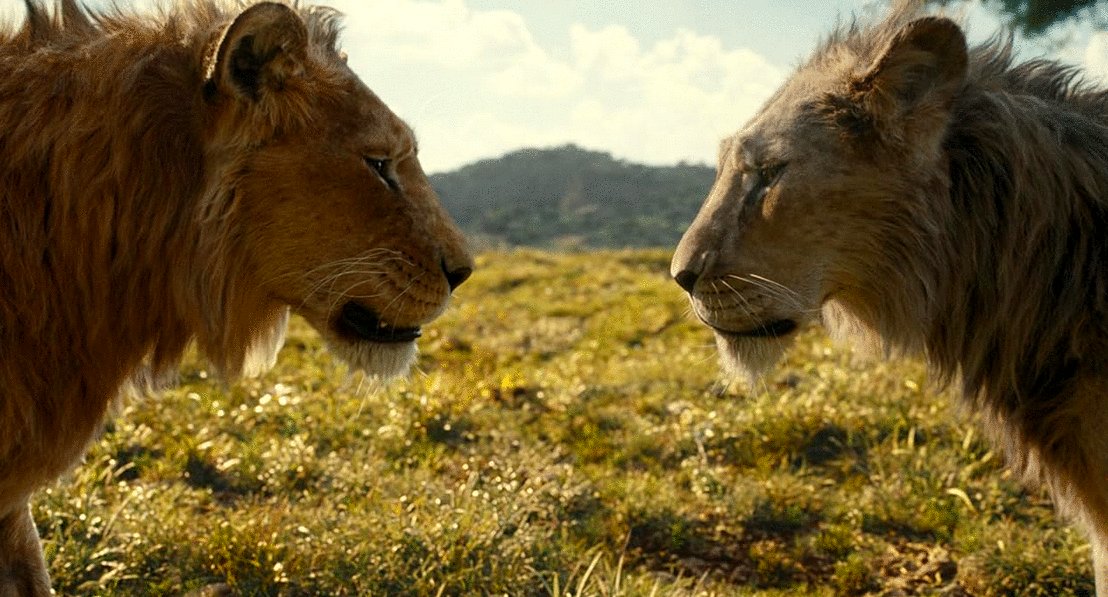Photo du film Mufasa: Le Roi Lion