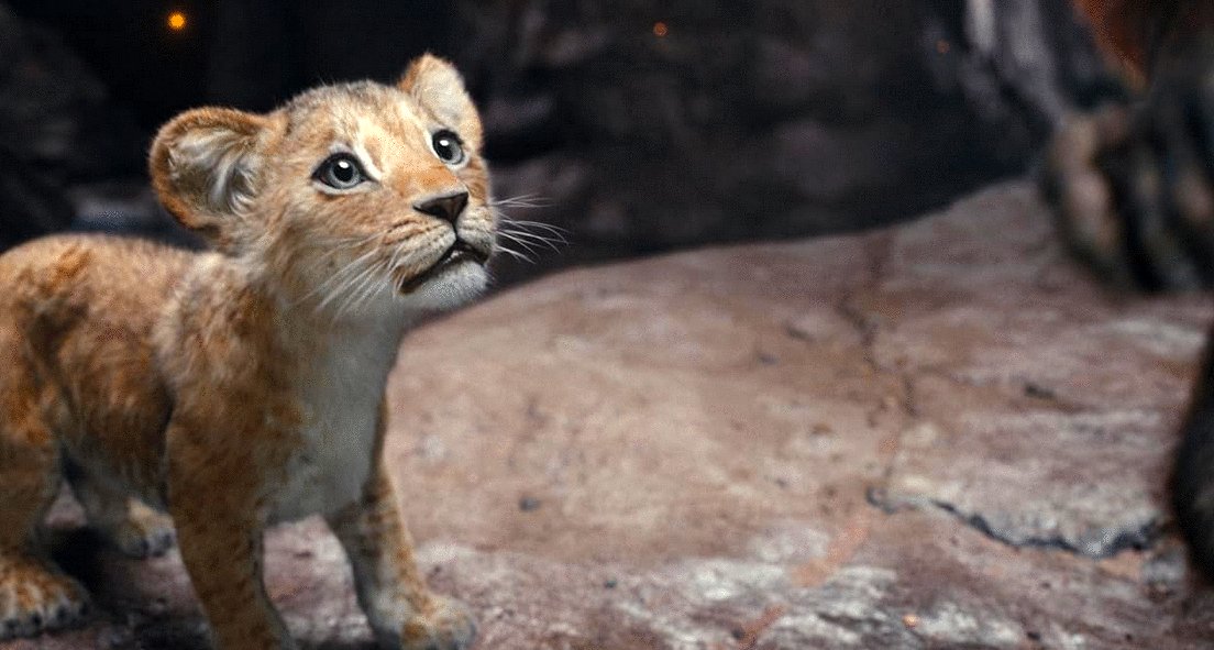 Photo du film Mufasa: Le Roi Lion