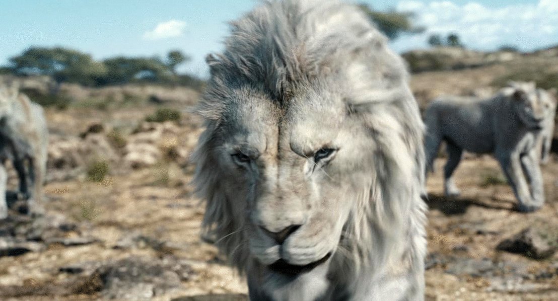 Photo du film Mufasa: Le Roi Lion