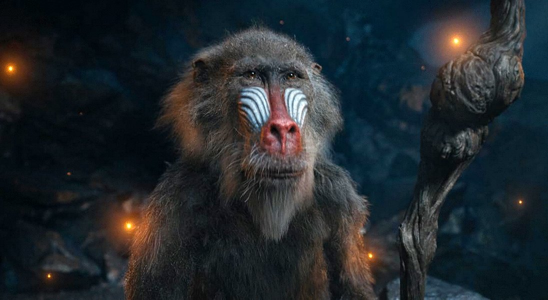 Photo du film Mufasa: Le Roi Lion