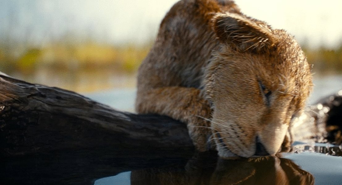 Photo du film Mufasa: Le Roi Lion