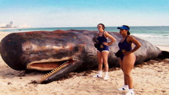 Photo from the movie Reno 911!: Miami