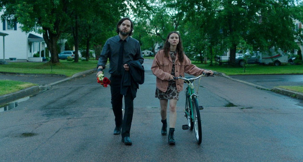 Photo du film The Fireflies Are Gone