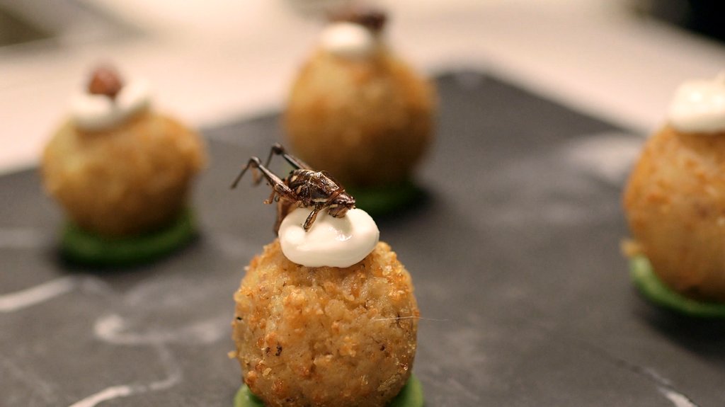 Photo from the movie The Gateway Bug [2017]