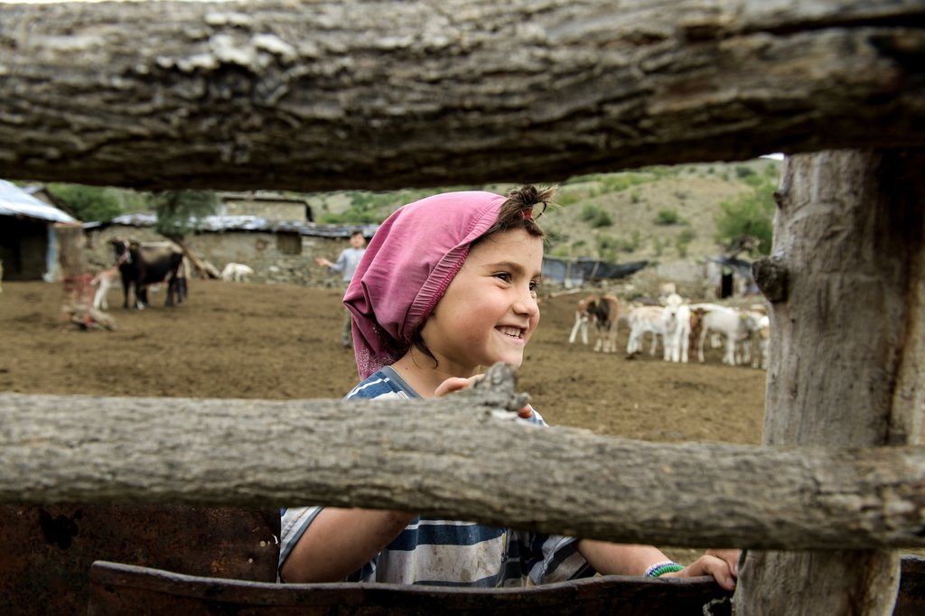 Photo from the movie Honeyland