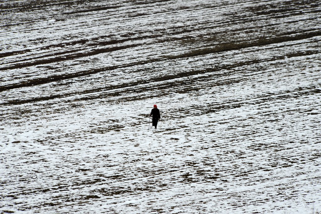 Photo from the movie Honeyland