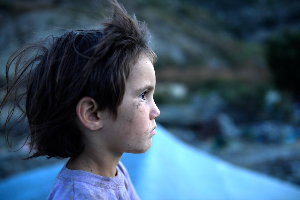 Photo from the movie Honeyland