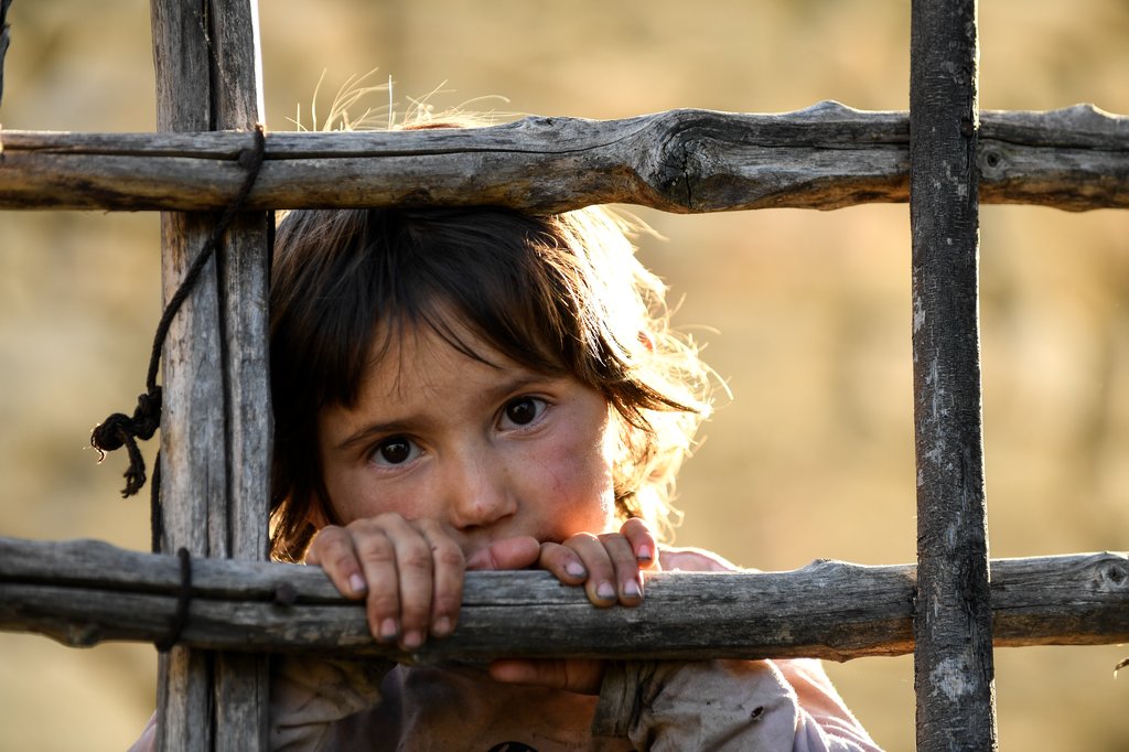 Photo from the movie Honeyland