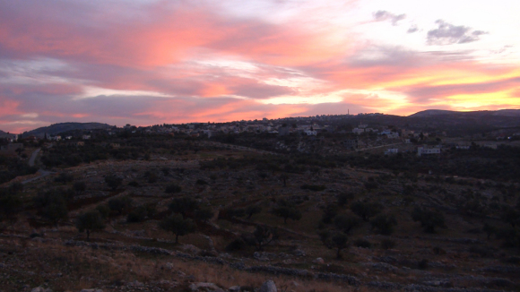 Photo du film 5 Caméras Brisées