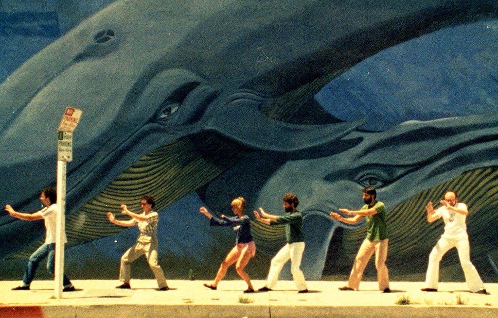 Photo from the movie Mur murs