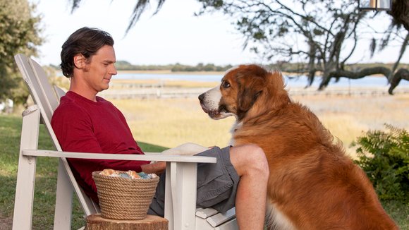 Photo du film Un Choix