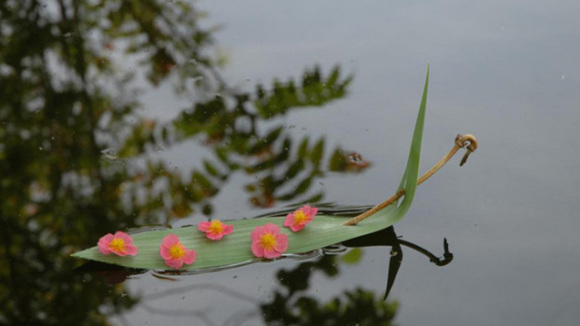 Photo from the movie The Field of Enchantment