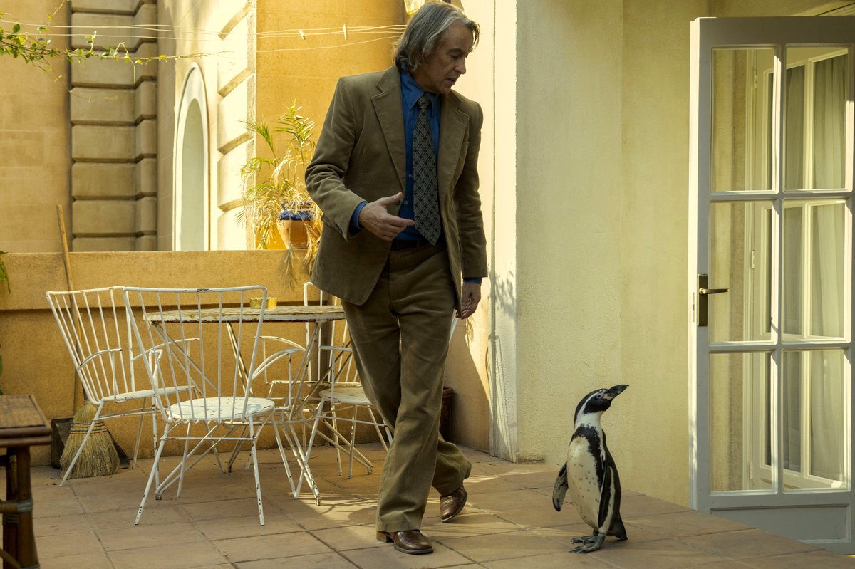 Photo from the movie The Penguin Lessons