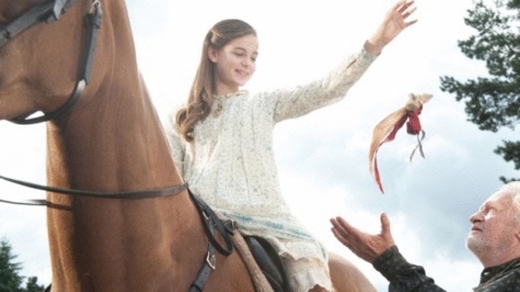 Photo from the movie War Horse