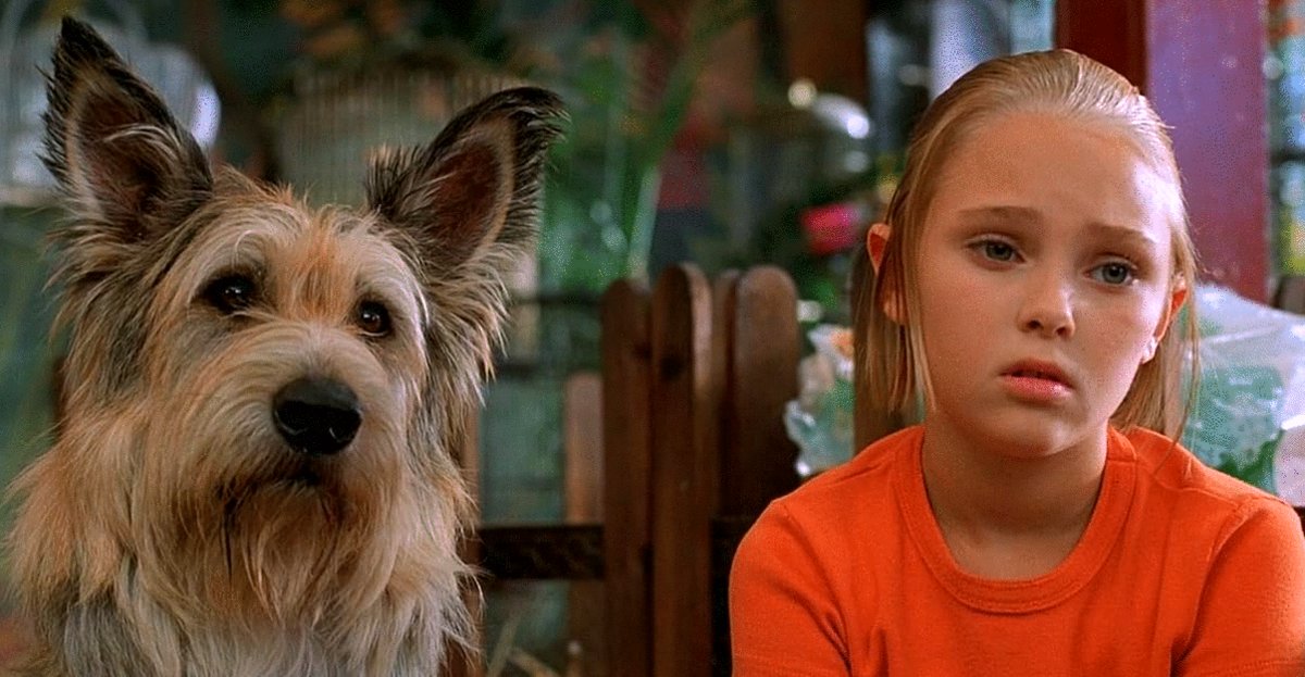 Photo from the movie Because of Winn-Dixie