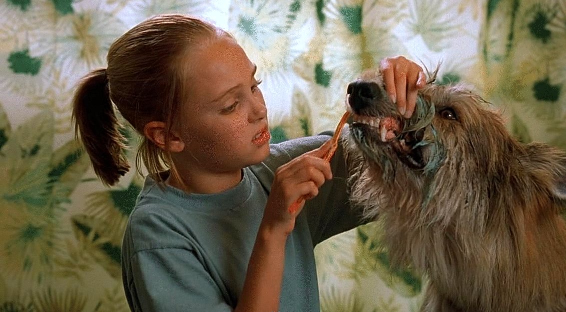 Photo from the movie Because of Winn-Dixie