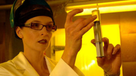 Photo du film Black Sheep