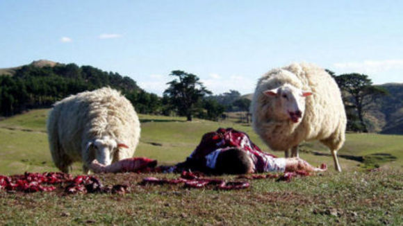 Photo du film Black Sheep