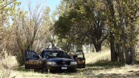 Photo du film Cop Car