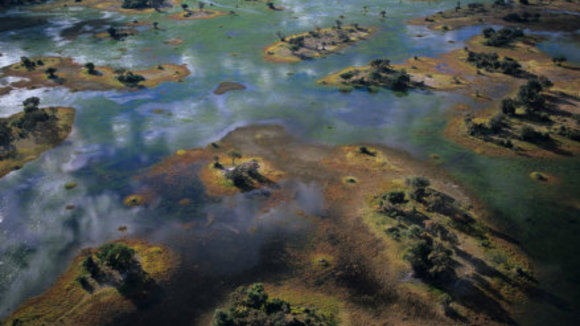 Photo du film Disneynature: Earth