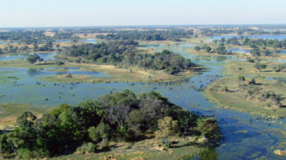 Photo du film Disneynature: Earth
