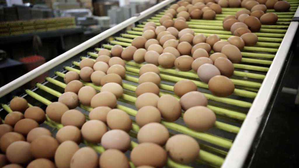 Photo from the movie H.O.P.E.: What You Eat Matters