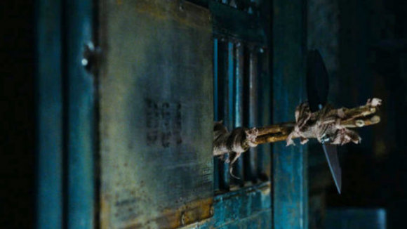 Photo du film La Montée de la planète des singes