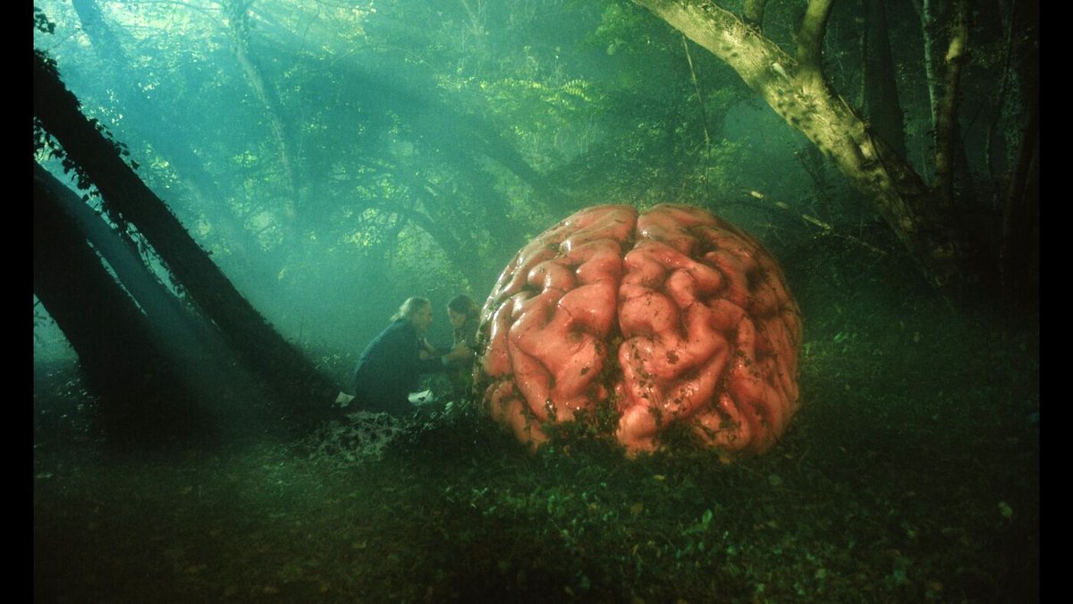 Photo du film Rumeurs v.f.